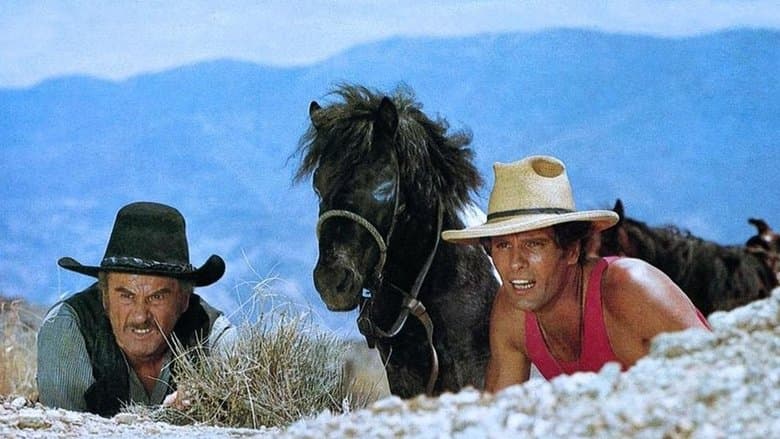 Scene from Shoot First… Ask Questions Later